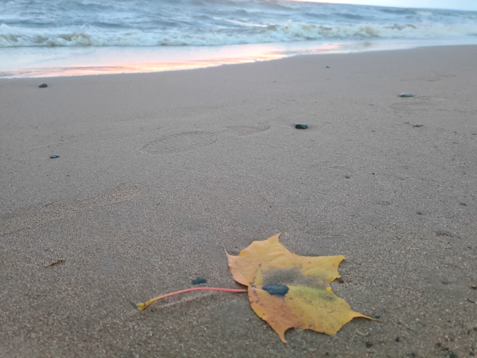 IMG20261016174514.webp
