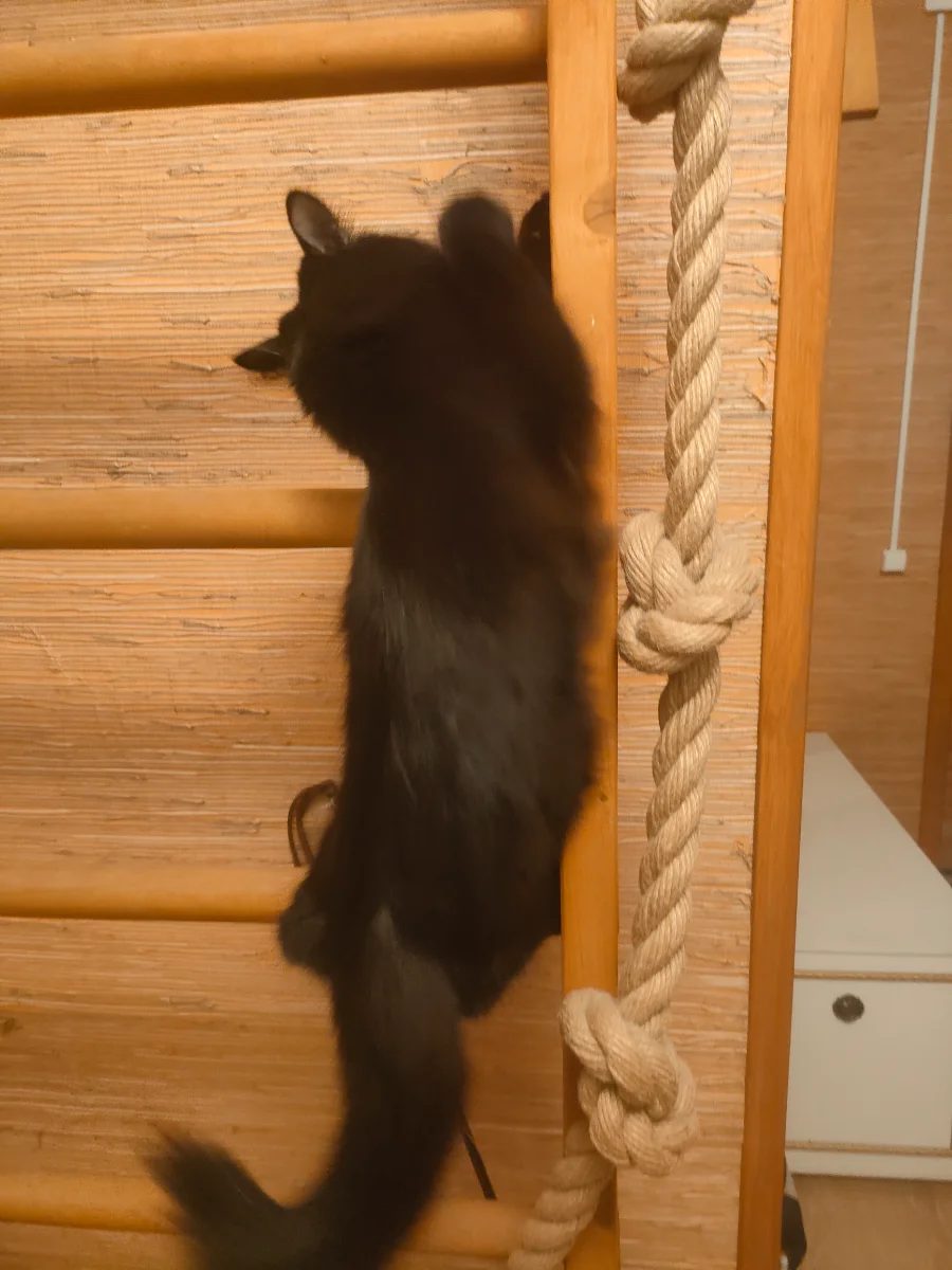 IMG20261016205539.webp
