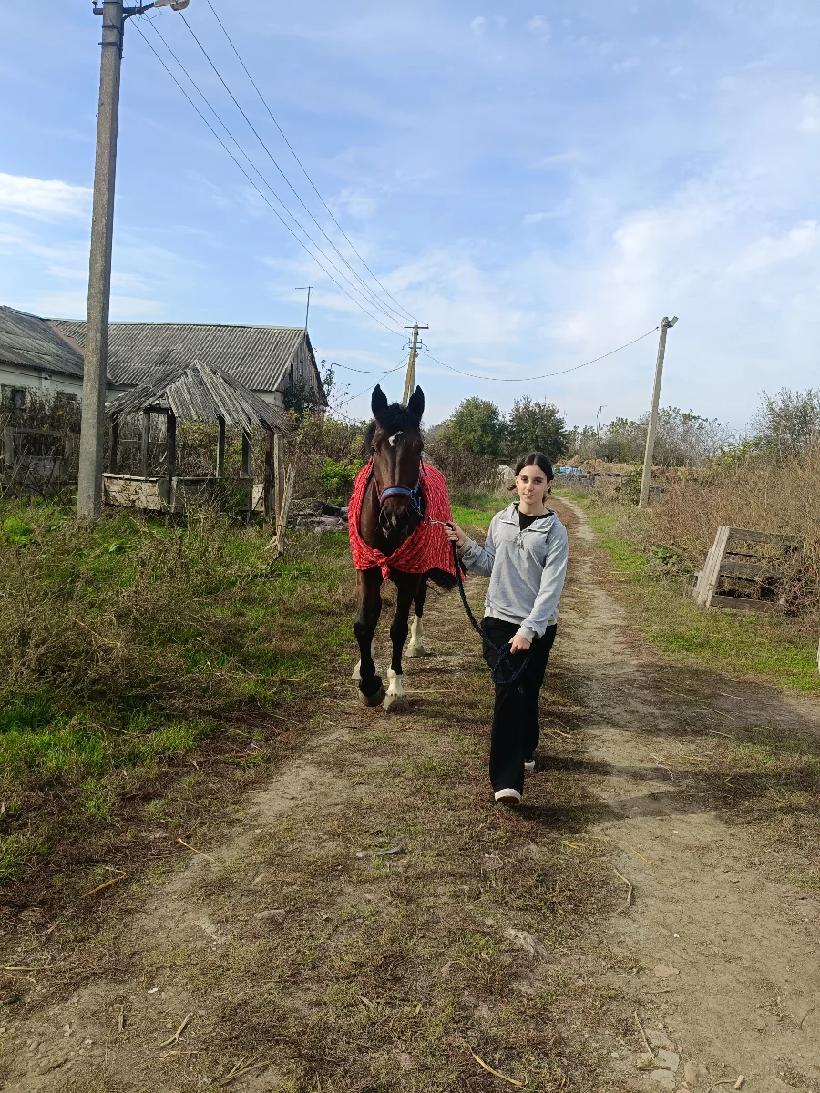 IMG20261030114039.webp