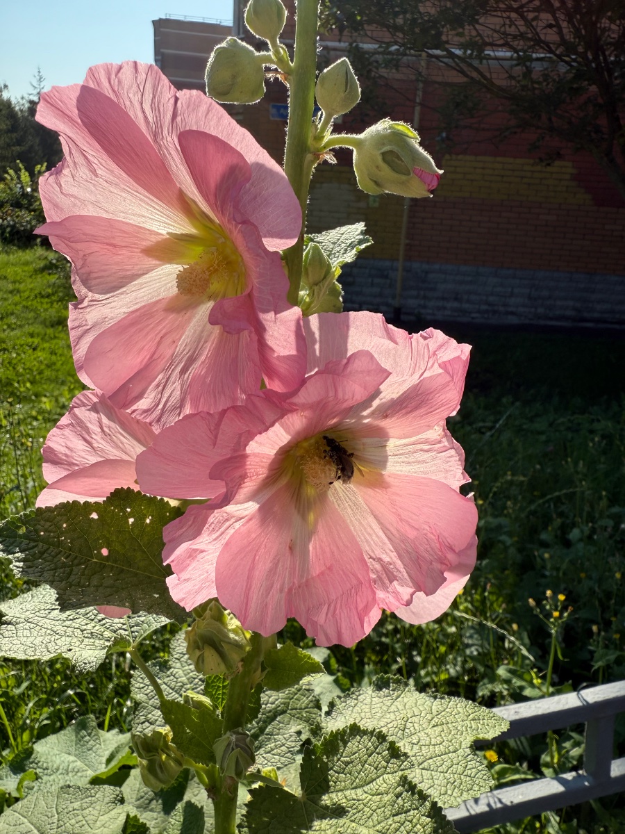 IMG_0018.jpeg