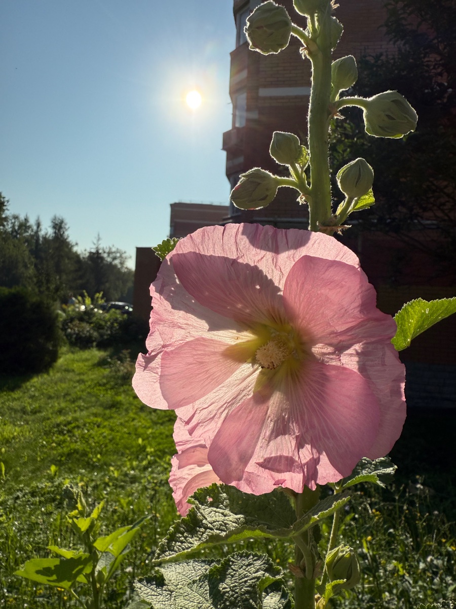 IMG_0019.jpeg