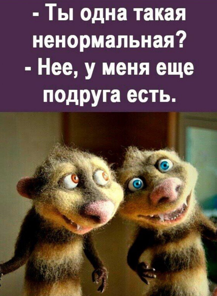 IMG_0032.jpeg