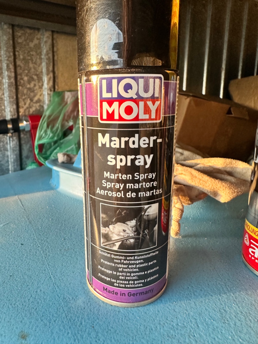 IMG_0034.jpeg