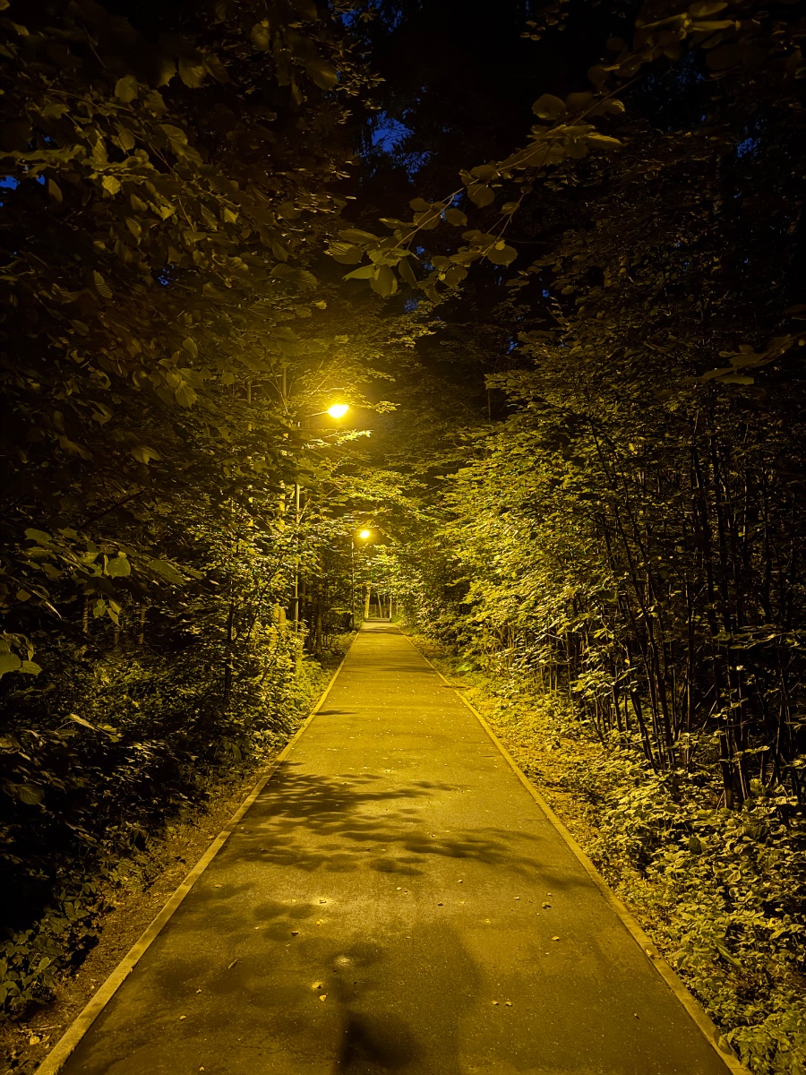 IMG_0049.jpeg