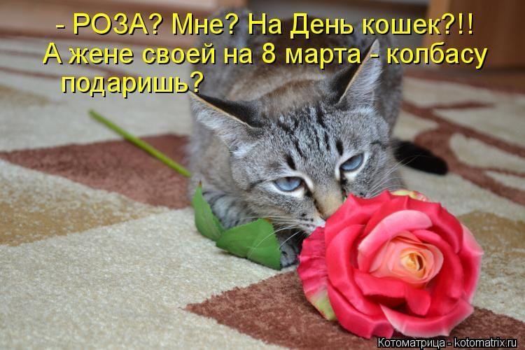 IMG_0090.jpeg