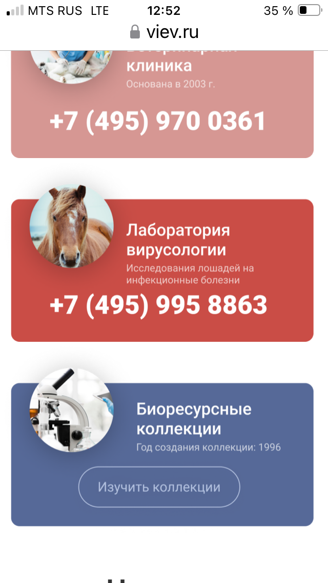 IMG_0095.png