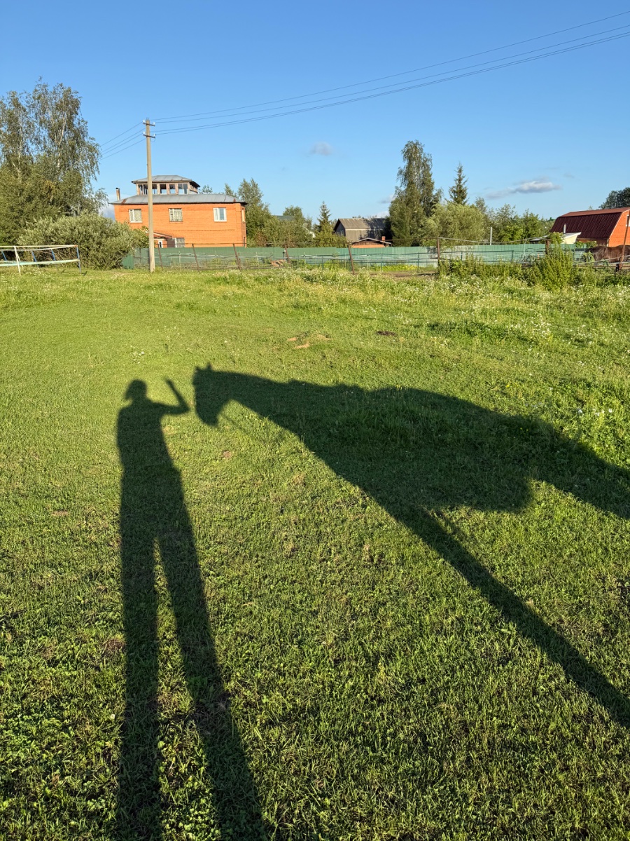 IMG_0113.jpeg