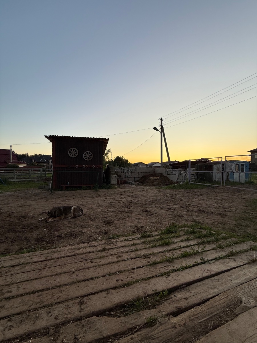 IMG_0138.jpeg