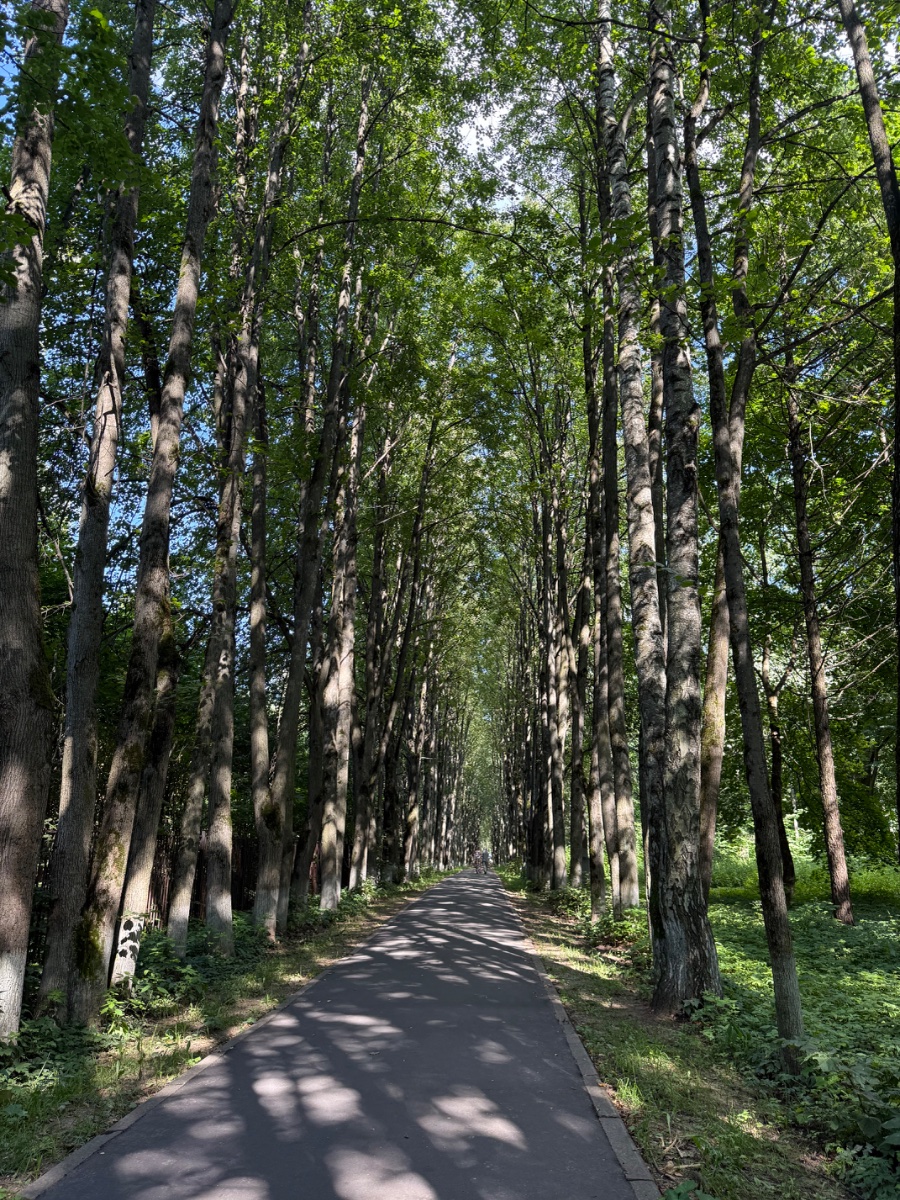 IMG_0161.jpeg