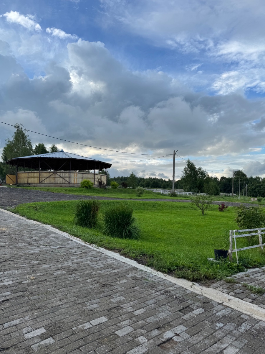 IMG_0198.jpeg