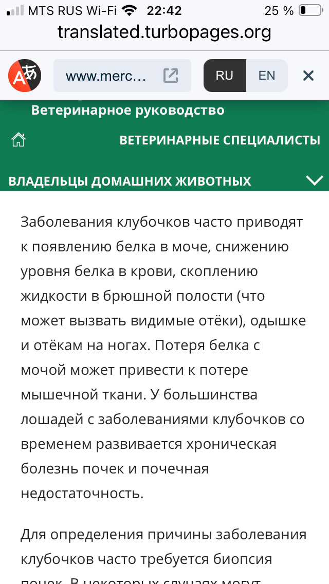 IMG_0227.png