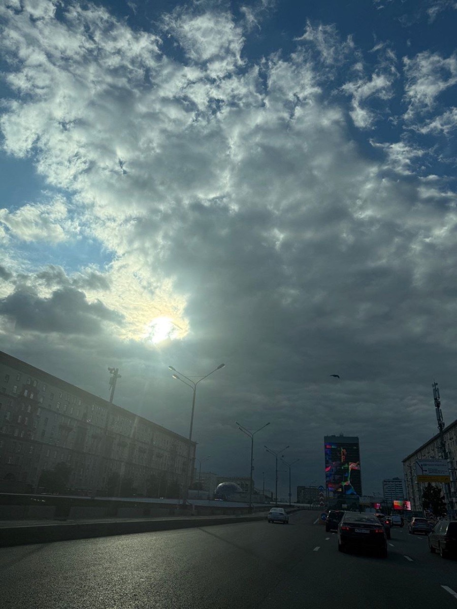 IMG_0266.jpeg