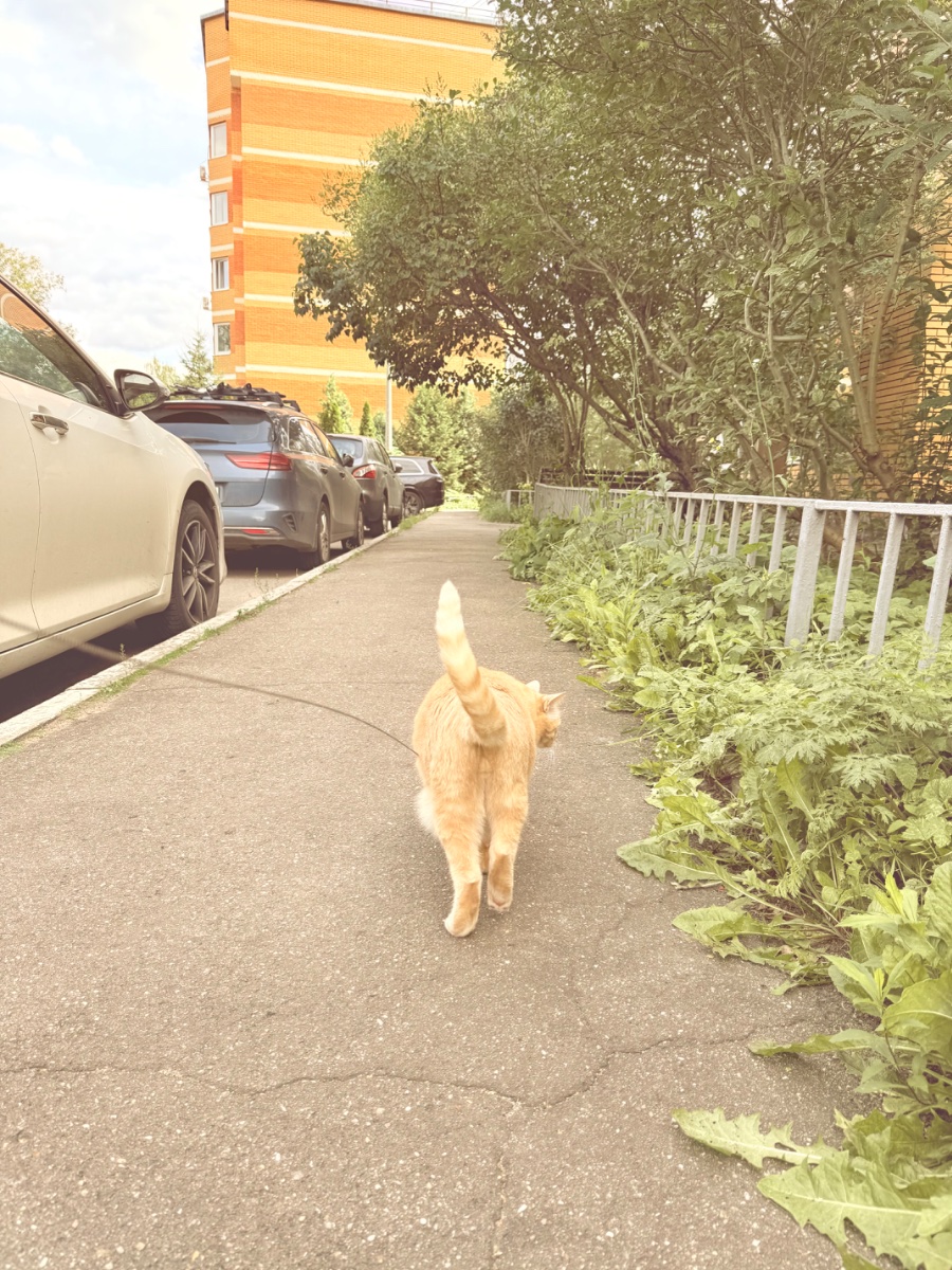 IMG_0552.jpeg