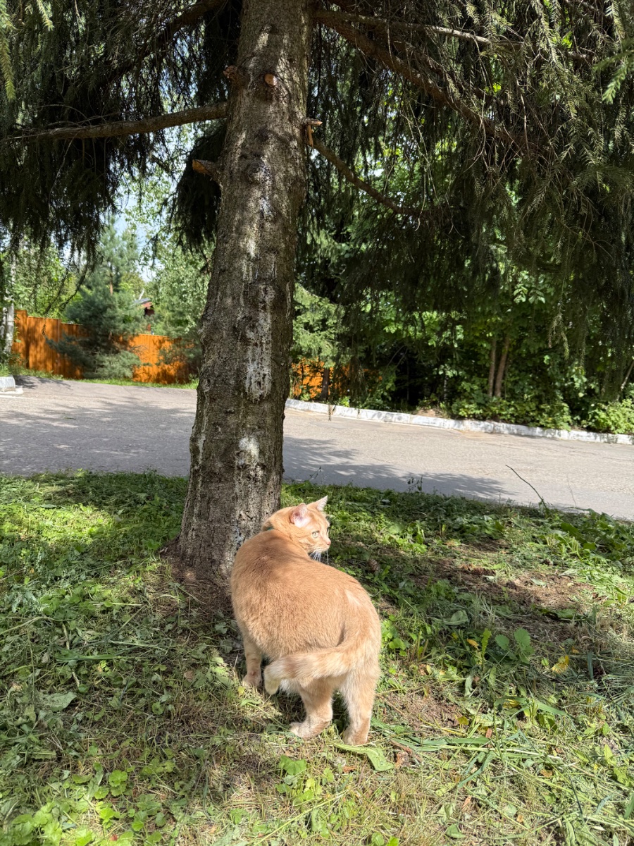 IMG_0556.jpeg