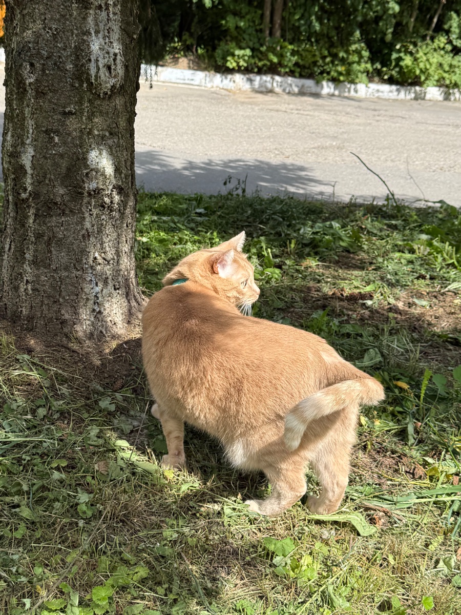 IMG_0558.jpeg
