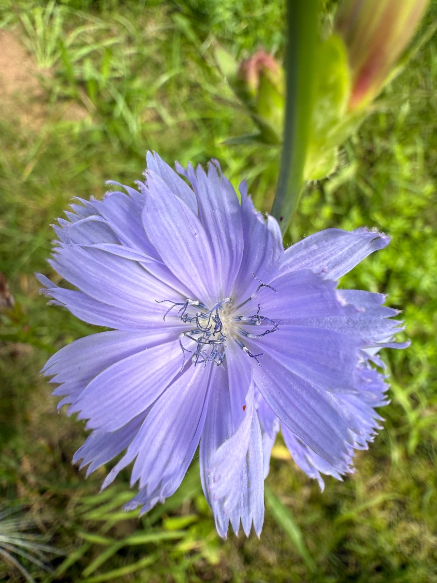 IMG_0563.jpeg