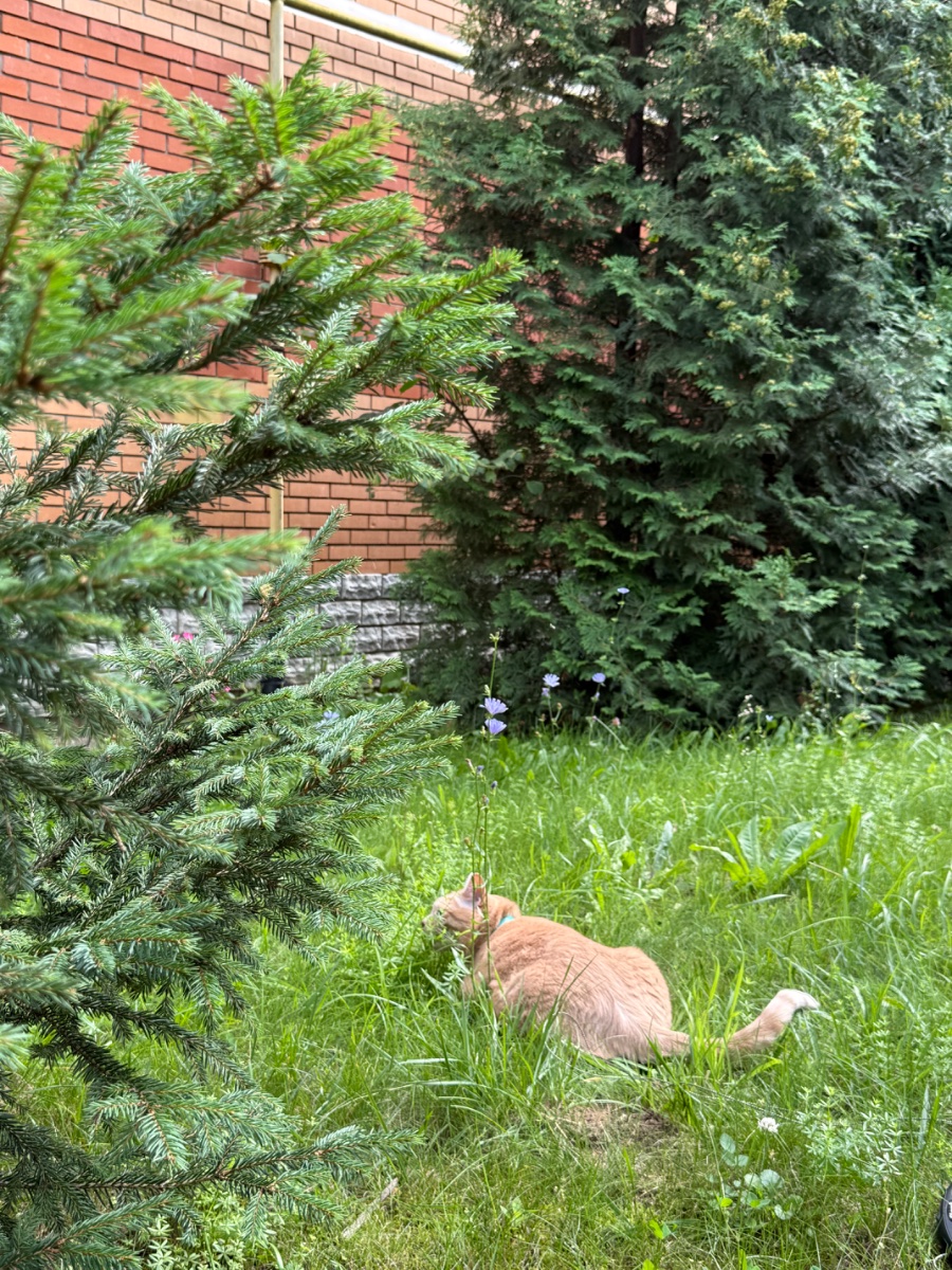 IMG_0570.jpeg