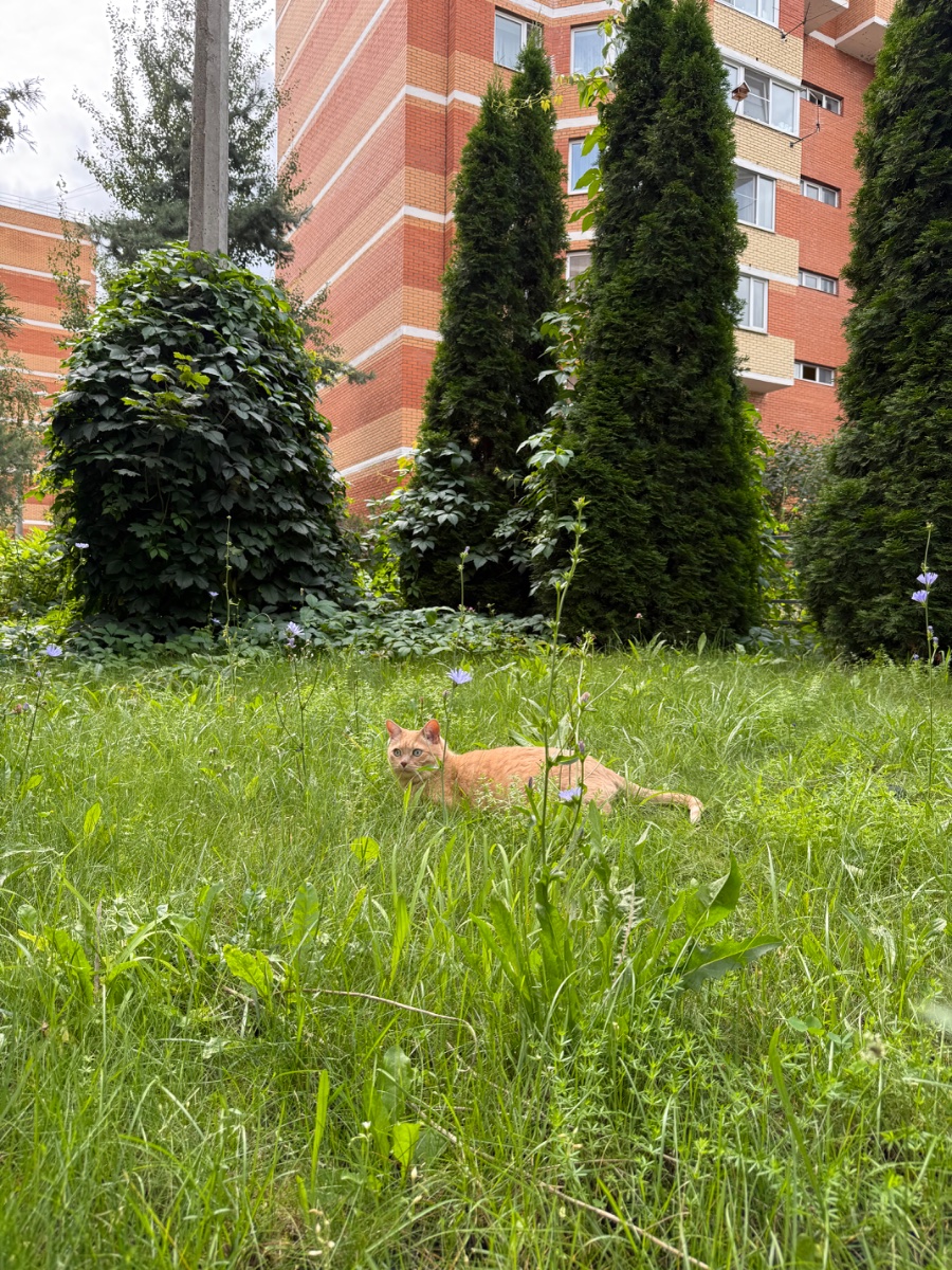 IMG_0574.jpeg