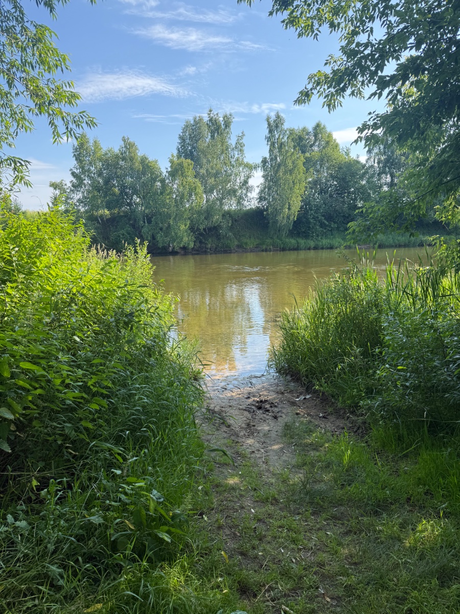 IMG_0626.jpeg