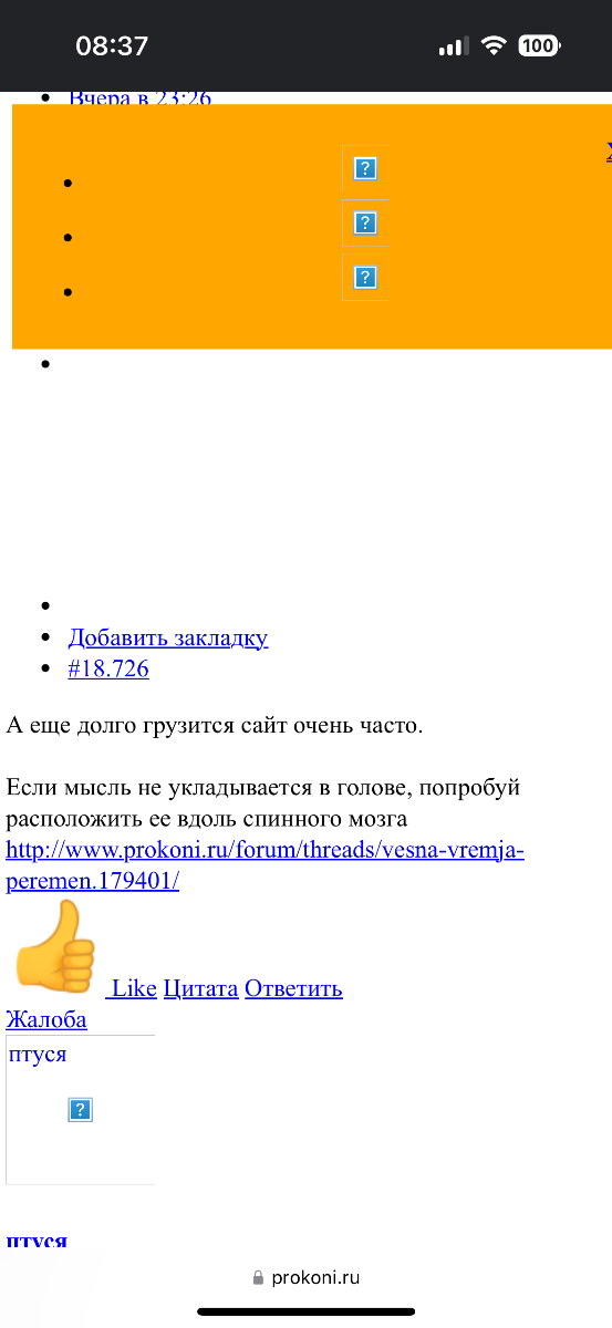 IMG_0626.png