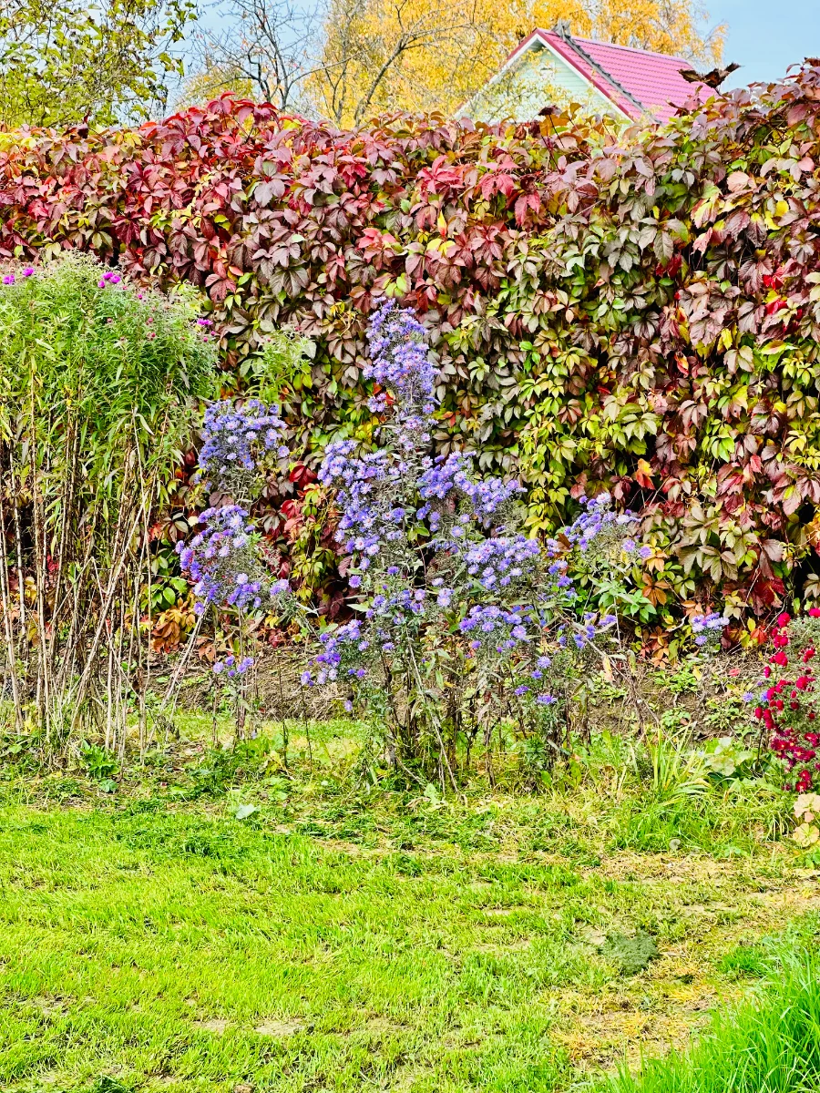 IMG_0674.webp