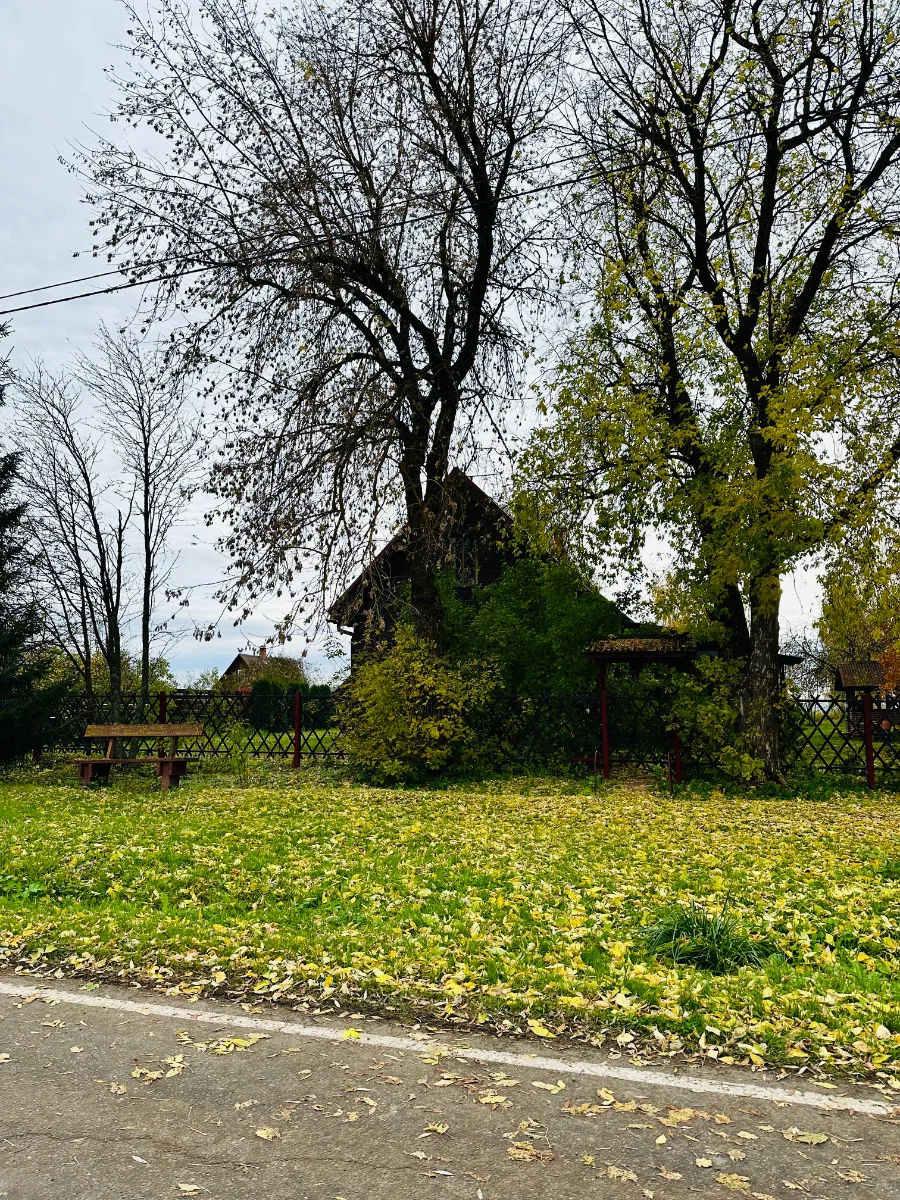 IMG_0677.webp