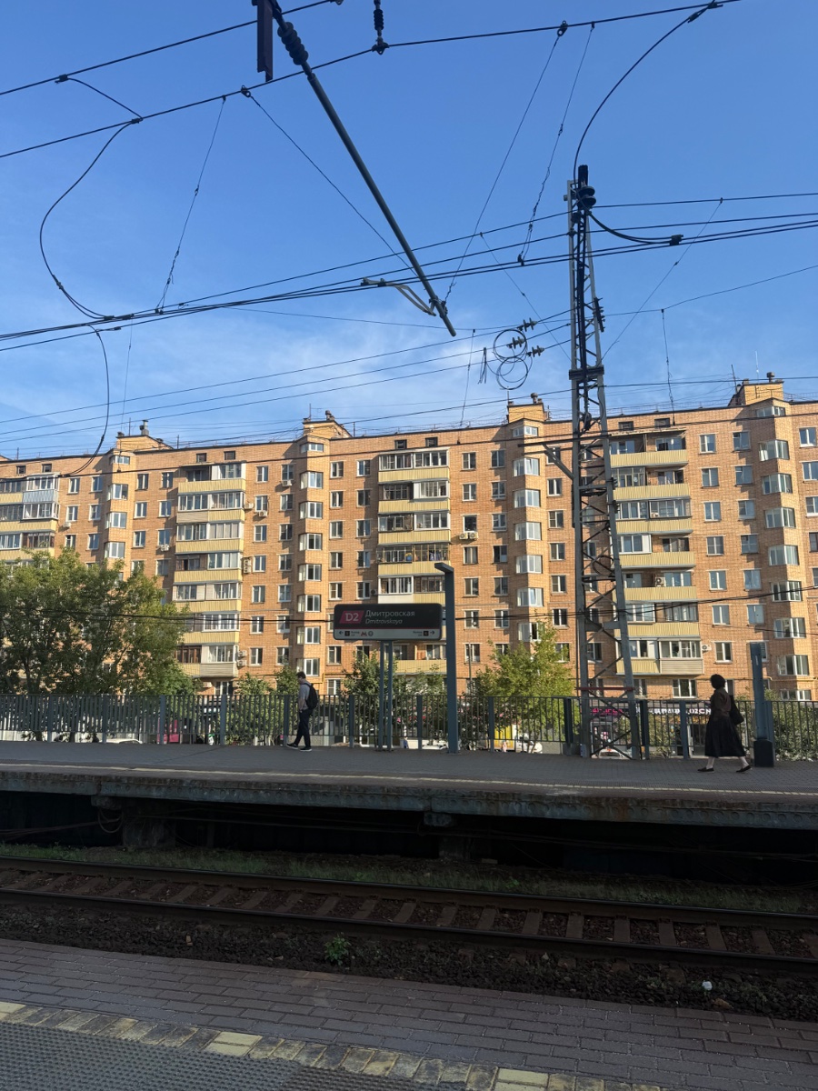 IMG_0769.jpeg