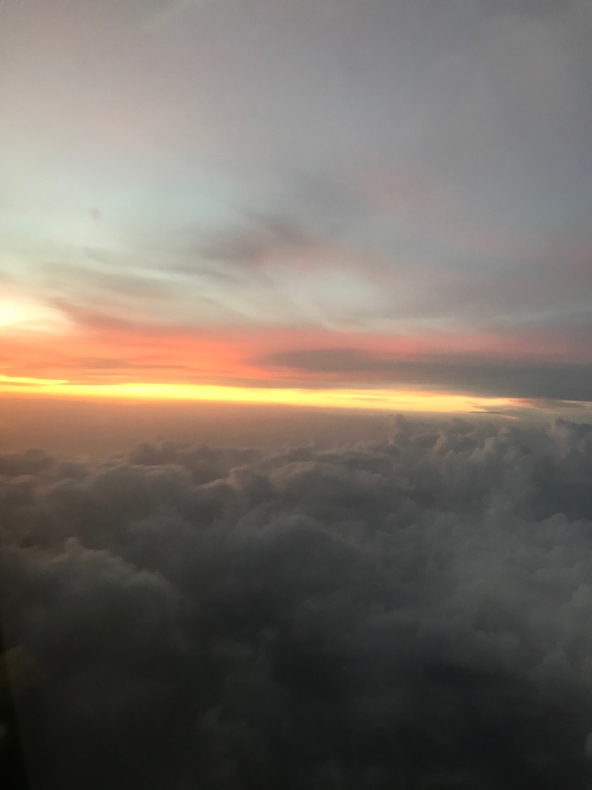 IMG_0807.jpg