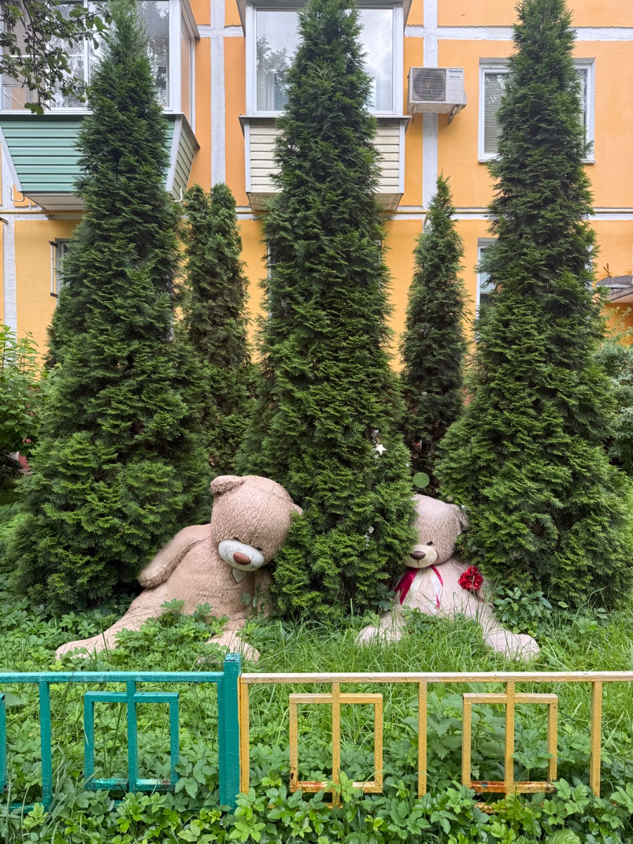 IMG_0820.jpeg