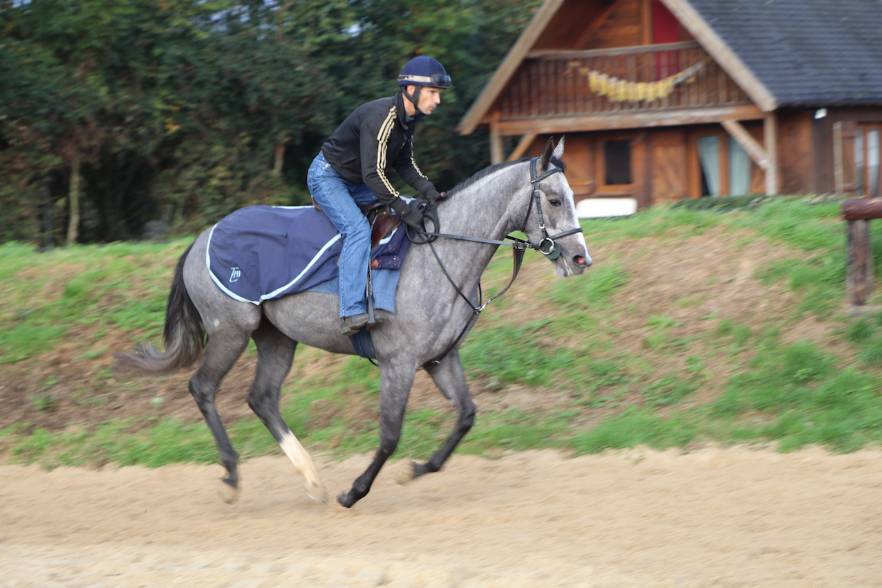 IMG_0864 - copie.jpg