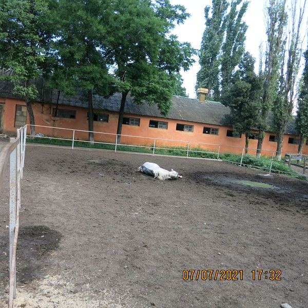 IMG_0896.JPG