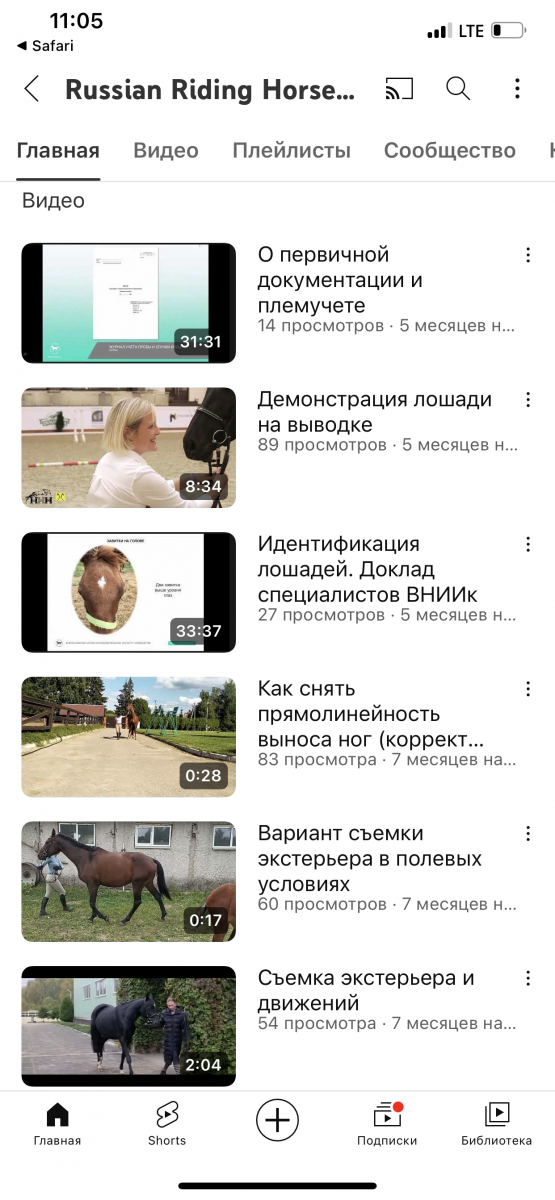 IMG_0905.png