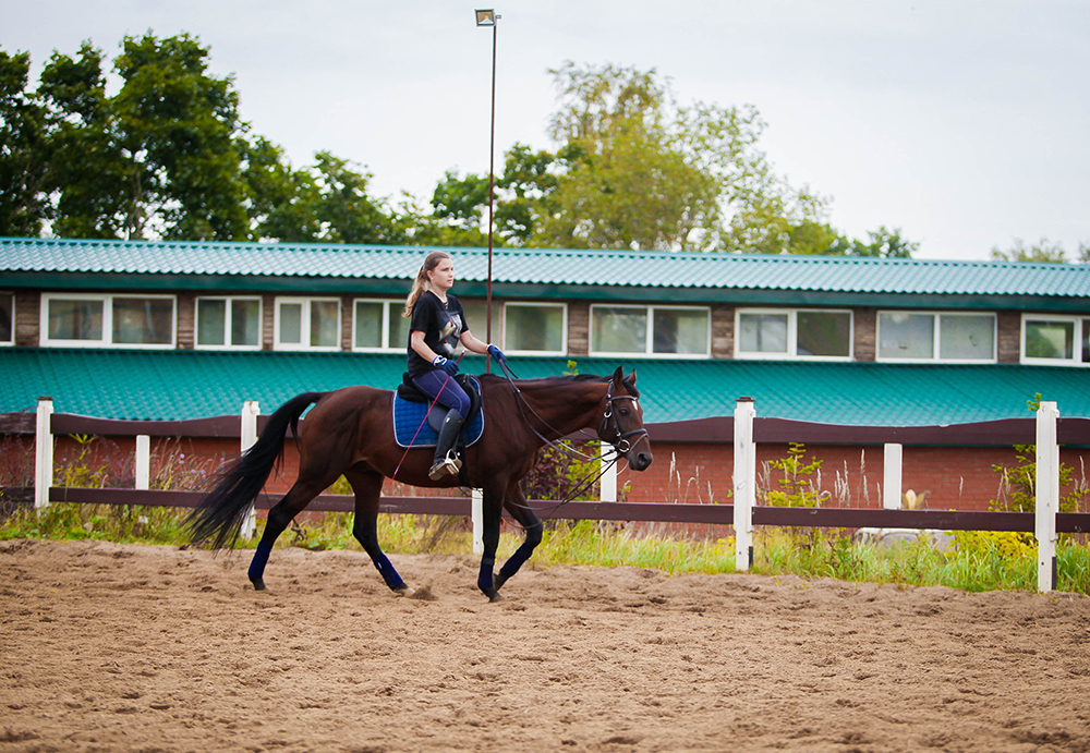 IMG_0962 — копия — копия.jpg