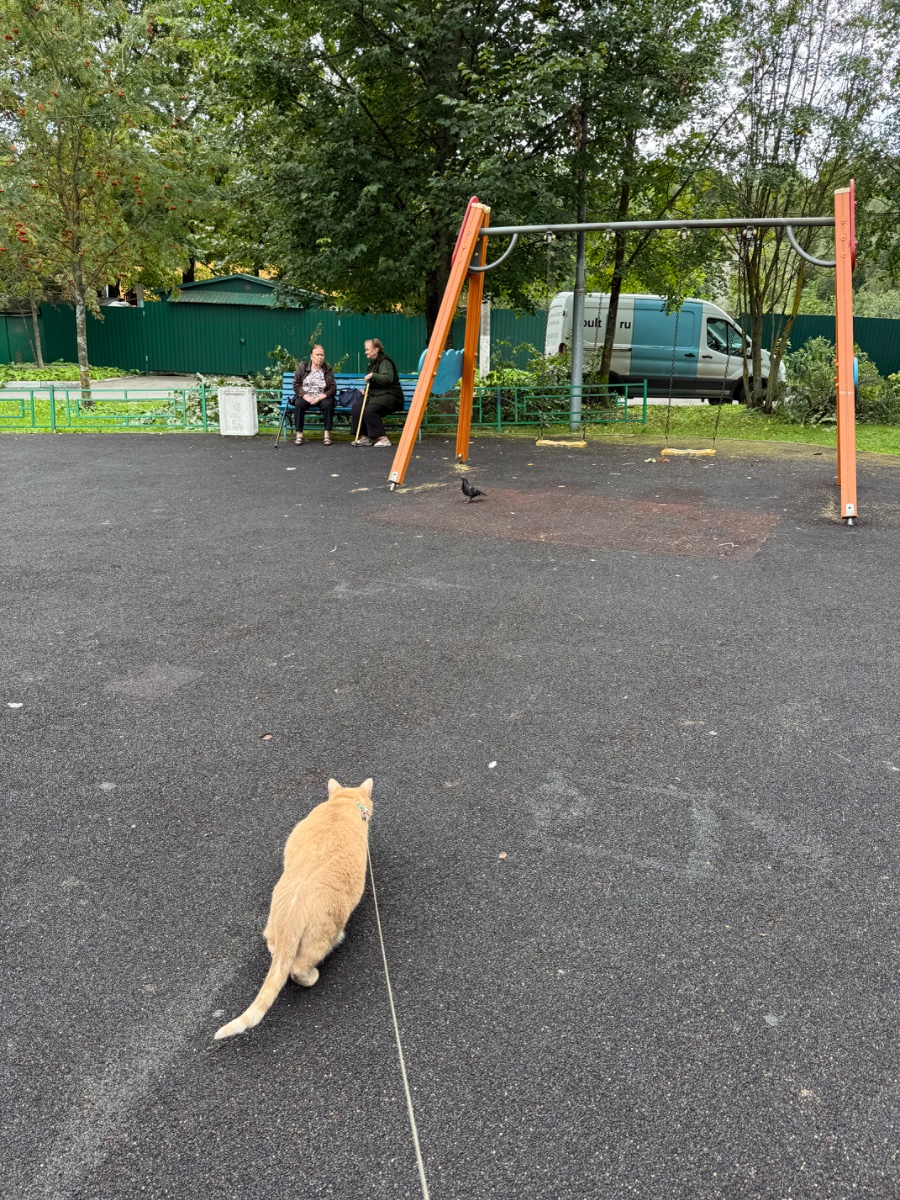 IMG_0982.jpeg