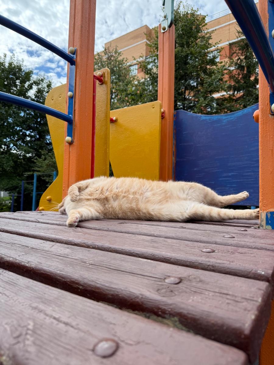 IMG_0991.jpeg