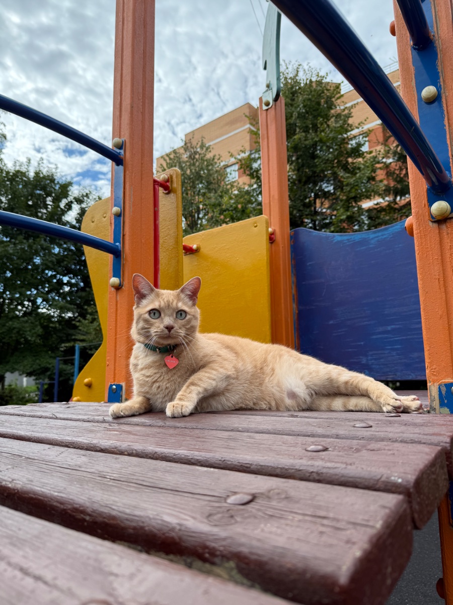 IMG_0992.jpeg