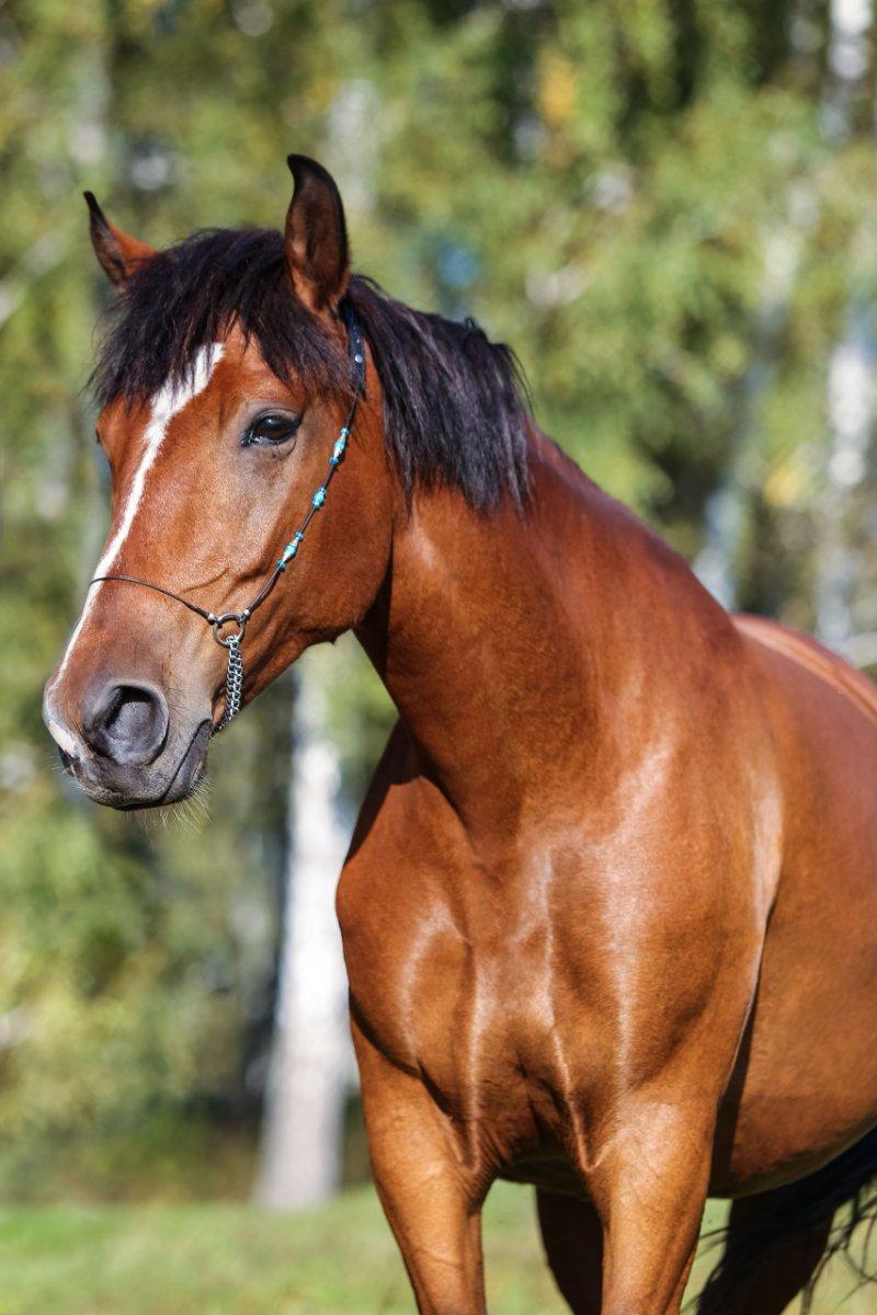 IMG_0994 копия_resized.jpg