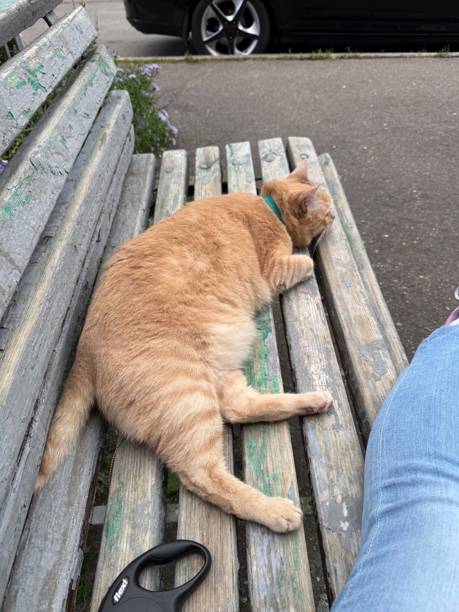 IMG_0998.jpeg