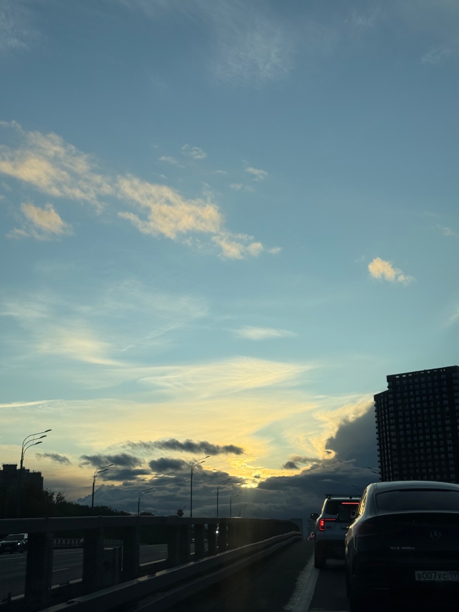 IMG_1017.jpeg