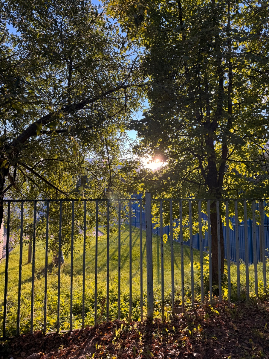 IMG_1054.jpeg