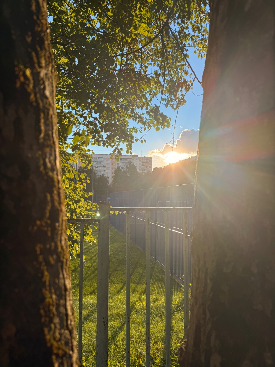 IMG_1055.jpeg
