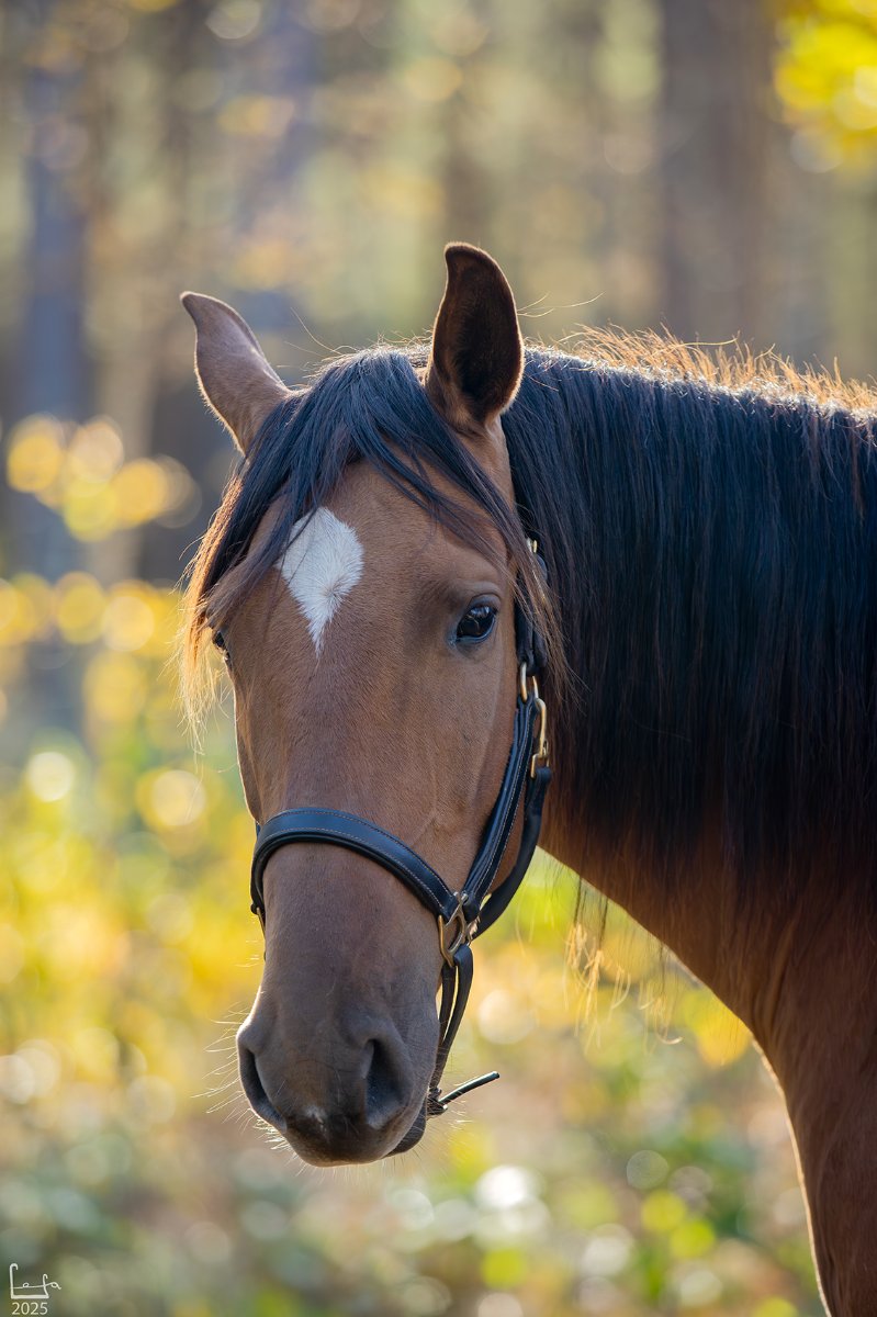 IMG_1068-Улучшено-Ум. шума.jpg