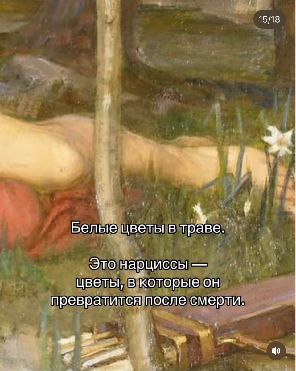 IMG_1082.jpeg