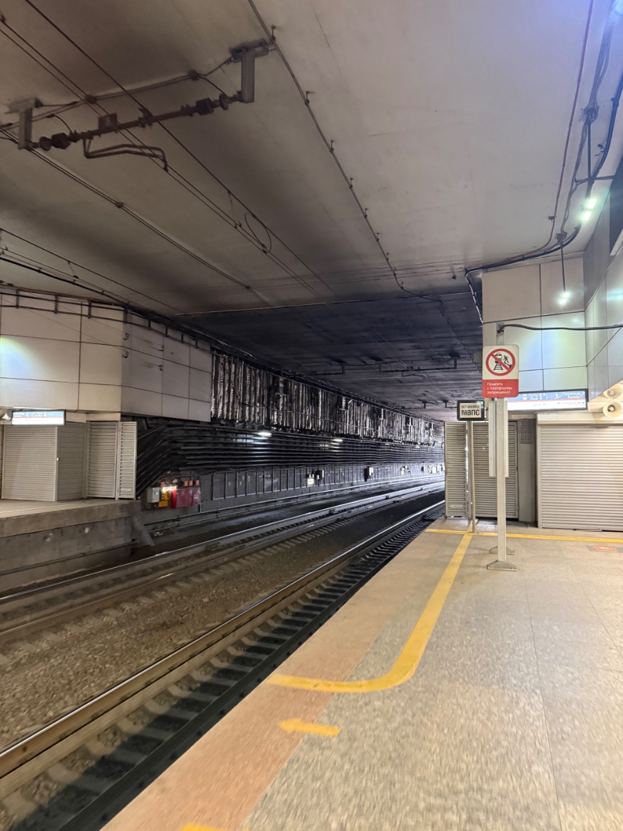 IMG_1264.jpeg