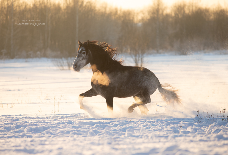 IMG_1283-Edit-Edit.jpg
