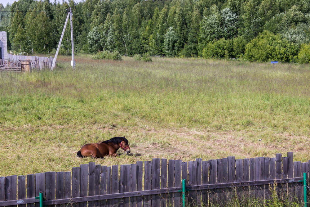 IMG_1290.jpg