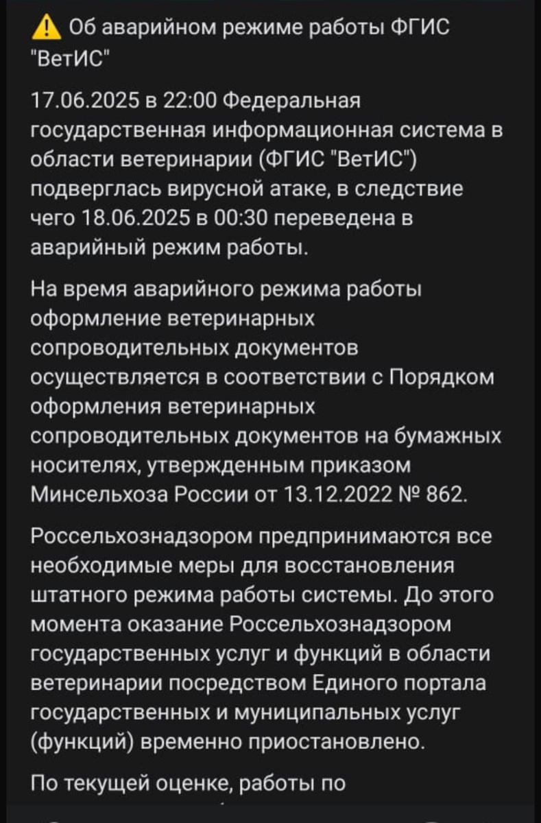 IMG_1315.jpeg