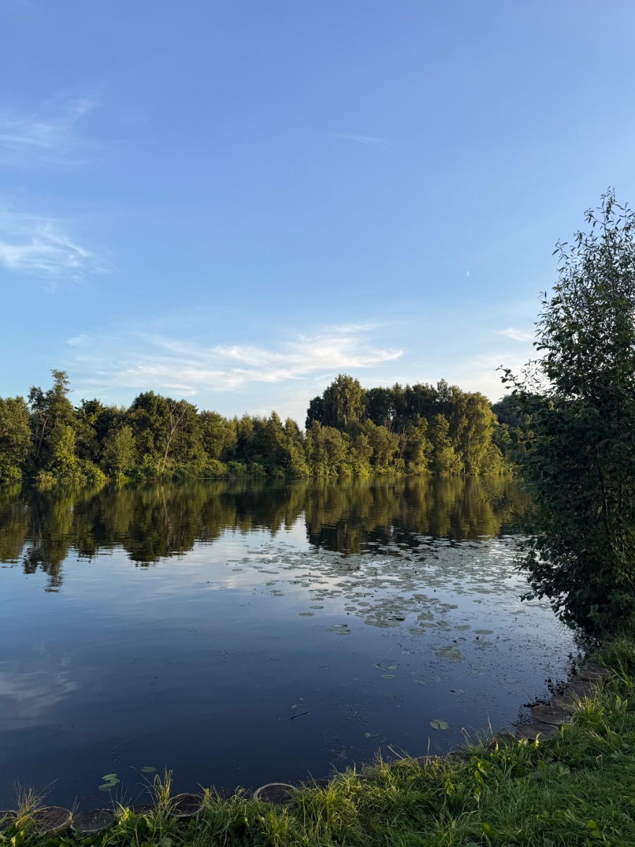 IMG_1337.jpeg
