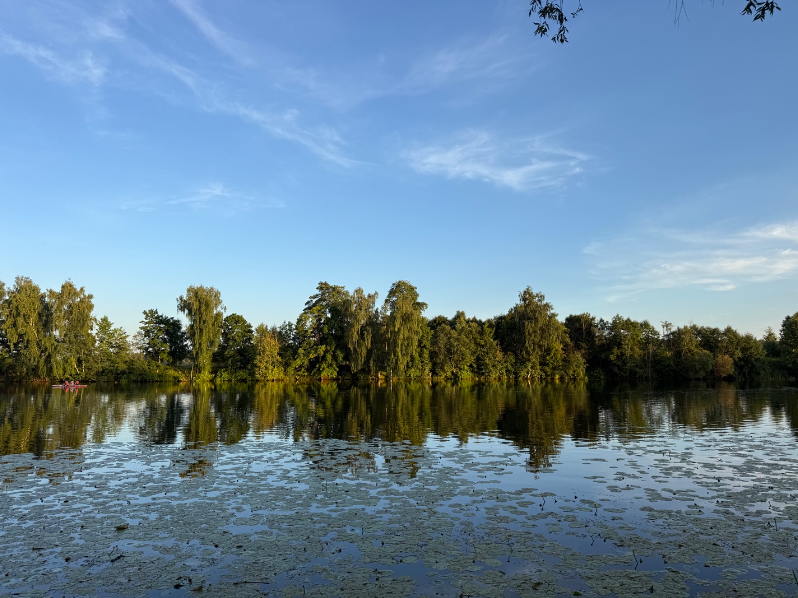 IMG_1341.jpeg