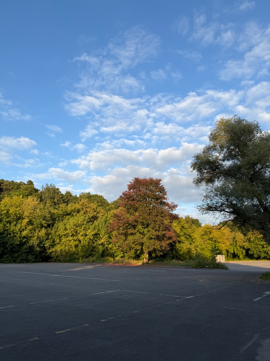 IMG_1406.jpeg